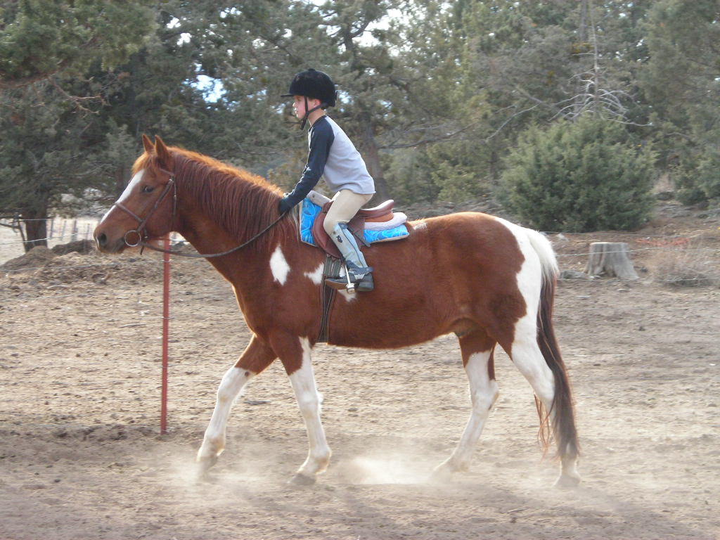 Erik & Rowdy